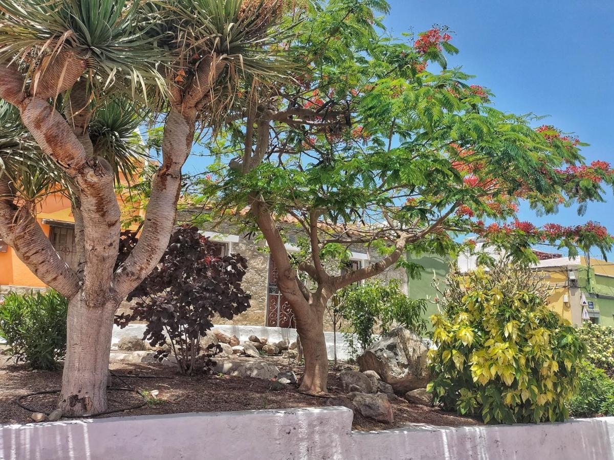 Casa En La Ladera - Real Vibe - Beach & Mountain San Nicolás Kültér fotó